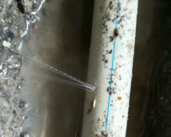 临沧市卫生间测漏水多少钱