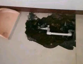 临沧市卫生间测漏水多少钱